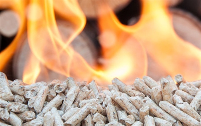 生物質(zhì)顆粒燃料